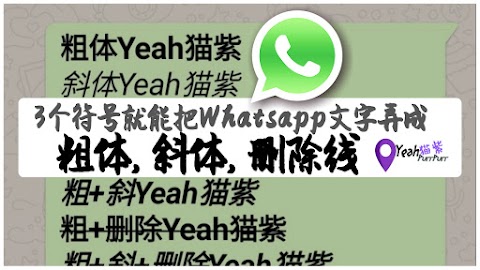 【老紫学电脑#03】用对3个符号就能把Whatsapp里的文字弄成粗体Bold, 斜体Italic & 删除线Strike