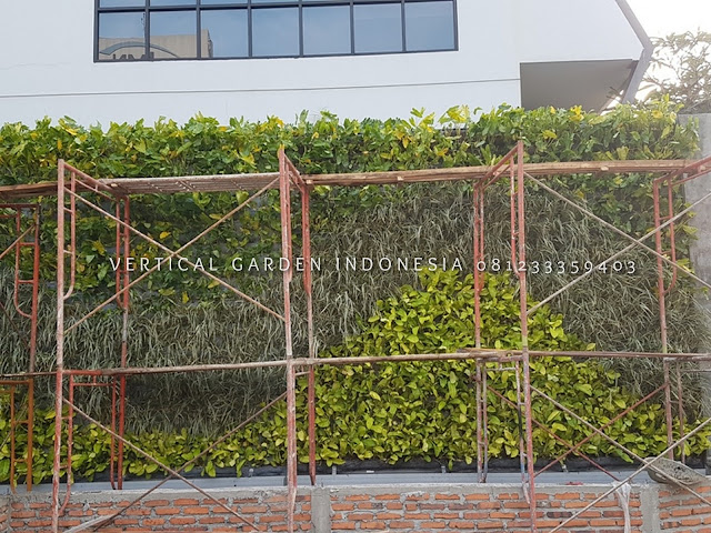 VERTICAL GARDEN INDONESIA SPESIALIS JASA PEMBUATAN VERTICAL GARDEN DI SIDOARJO DAN DI SELURUH WILAYAH SIDOARJO DENGAN TENAGA YANG PROFESIONAL DAN DAPAT DI PERCAYA YANG SELALU MENGUTAMAKAN SEBUAH MUTU DAN KUALITAS PEMASANGAN VERTICAL GARDEN/TAMAN DINDING, JASA TUKANG TAMAN VERTICAL SIDOARJO, JASA VERTICAL GARDEN SIDOARJO