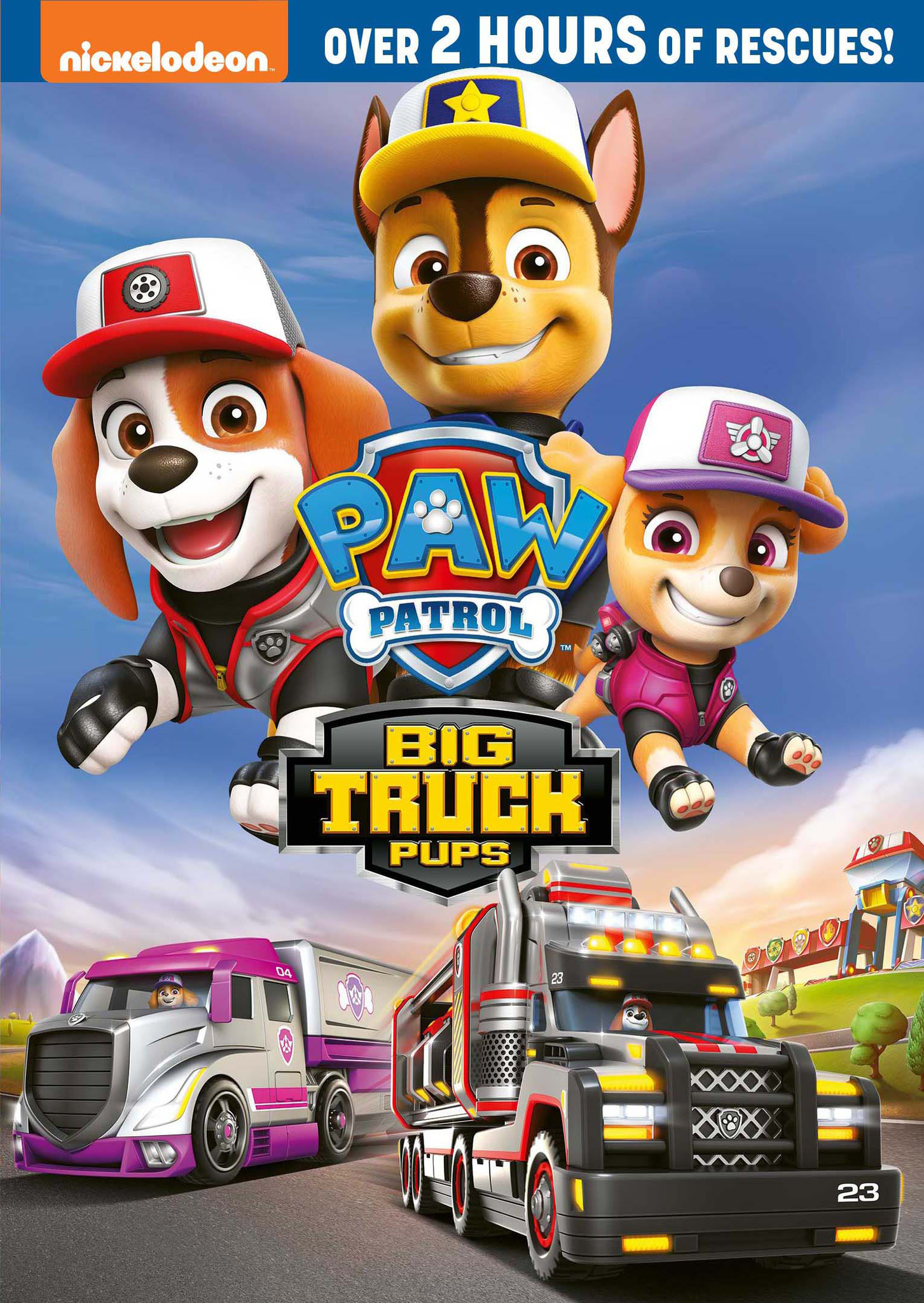 Basset hound paw patrol