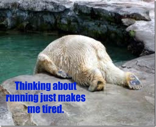 polarbear2