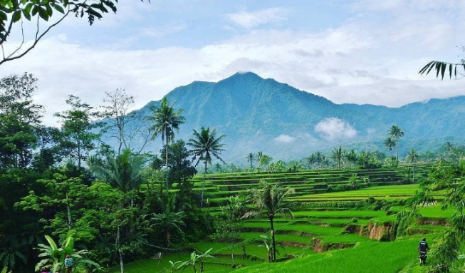 Daftar Gunung Di Kabupaten Subang Lengkap dengan Ketinggian dan Lokasinya