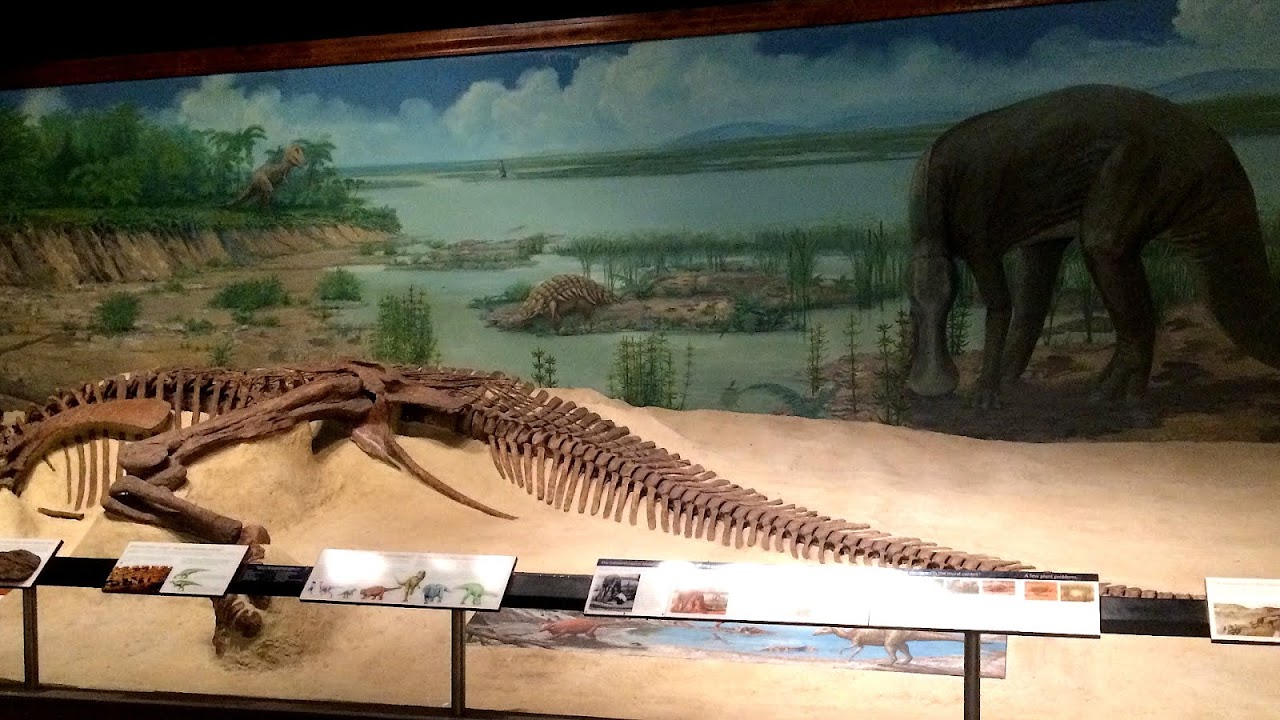 University of Michigan Museum of Natural History