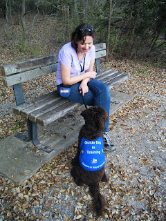 I'm seated on a bench, Alfie sits facing me