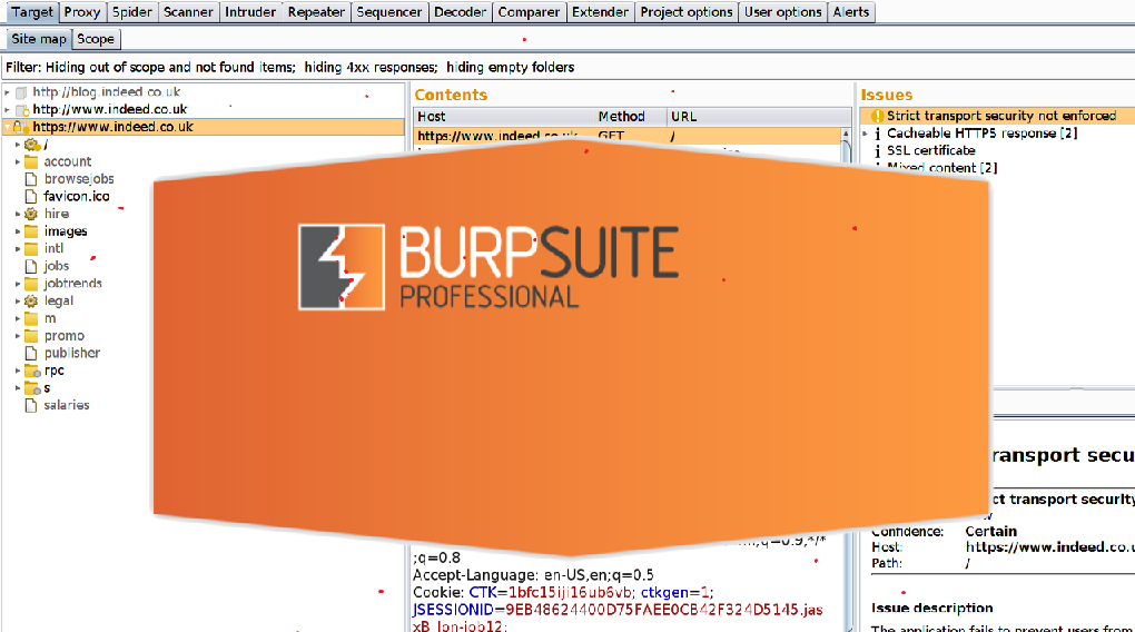 Burp Suite Professional 1.7.37 Free Download