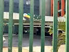 Presidente do Sinseppar realiza Live em resposta a questionamentos pertinentes ao serviço público municipal 