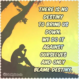 Destiny quote