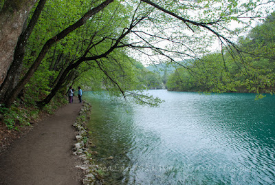 Plitvice Lakes National Park, Lower, 下湖, 克羅地亞, 十六湖