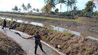 Perlancar Saluran Air Di Irigasi, Babinsa Koramil 1423-01/Lalabata Kopda Hasnadi Bergotong Royong Bersihkan Irigasi Bersama Masyarakat