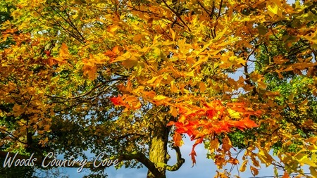 OCTOBER 2018 (12 of 12)