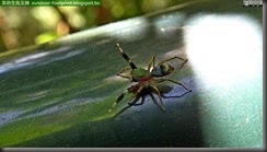 20140829_101347_043_HoMeiSan