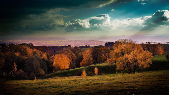 Autumn Landscape View