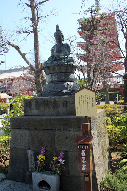 日本．東京．淺草寺．櫻花