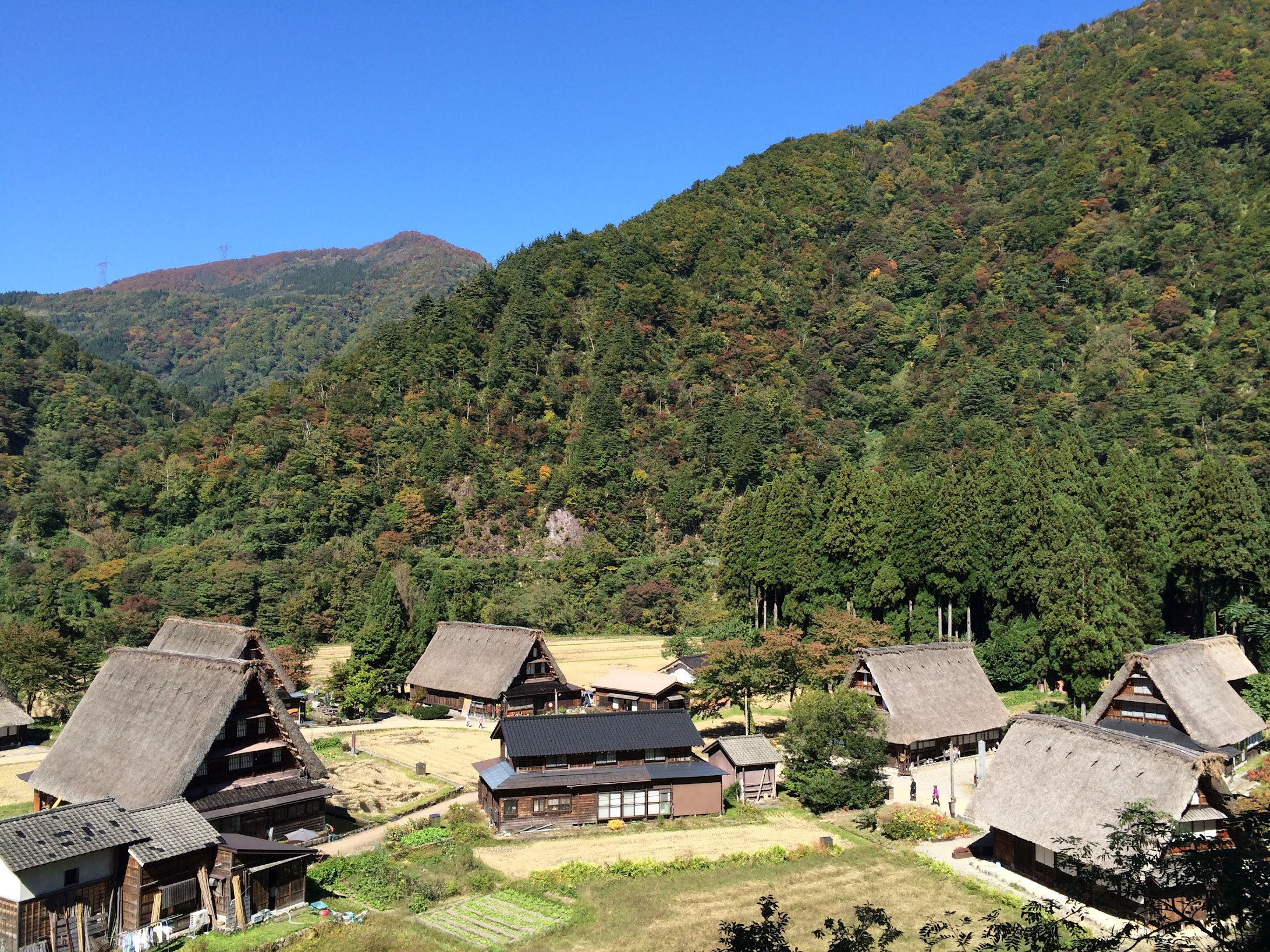 五箇山菅沼合掌集落