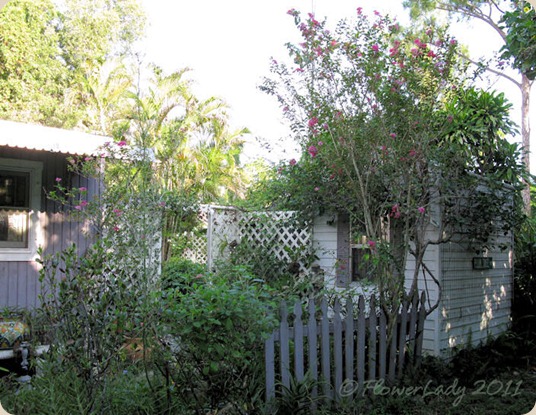 08-29-shed-garden 08-29-shed-garden