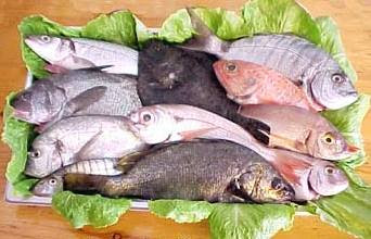 perder peso rapidamente,albondigas de pescado,Pescado,Albondigas