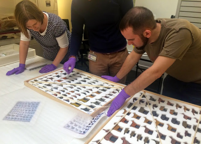 Museum staff selecting from trays of wooden toy animals