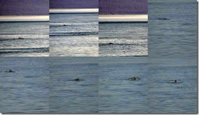Search results for 2013 Cruise to Alaska3