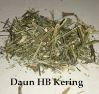 Anim Agro Technology: HEMPEDU BUMI - HERBA