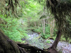 IMG_1833