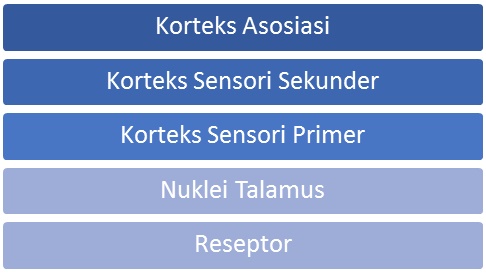 Mekanisme Persepsi dalam Psikologi Menurut Para Ahli