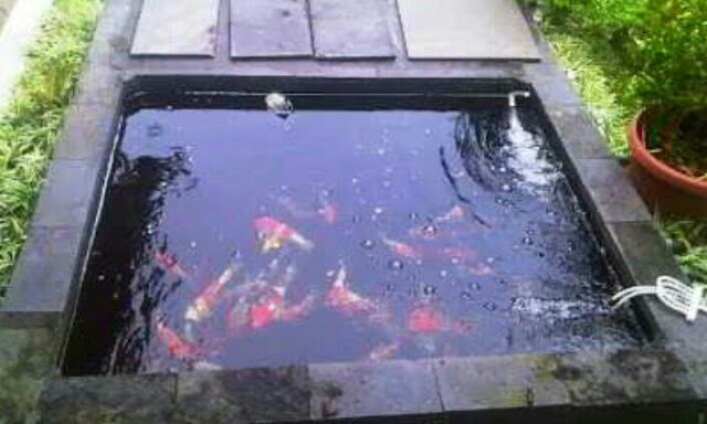 Desain kolam ikan minimalis, cara membuat kolam ikan minimalis sederhana di lahan sempit