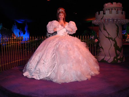 I 39m gonna go with poofy wedding dress with a crown google wear