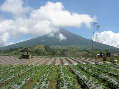 5 Gunung Paling Angker Di Indonesia