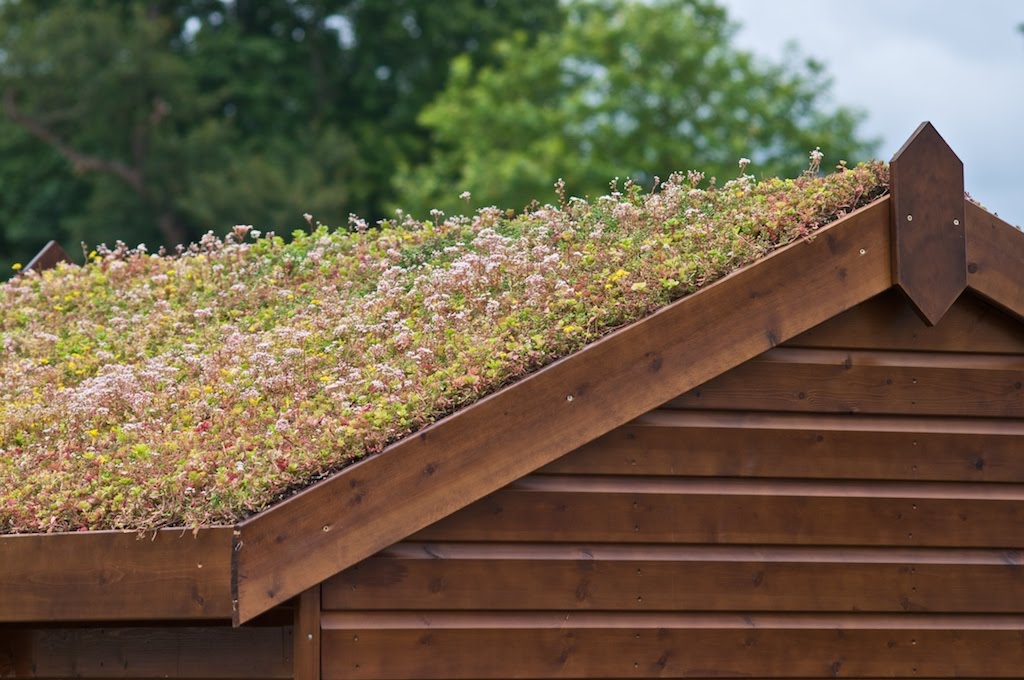 Photographer's Garden: Green Roofs - A Guide