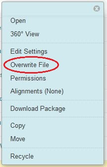 Select "Overwrite File" from the options menu