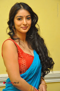 Telugu Actress Vaibhavi Stills in Blue Saree at Www.Meena Bazaar Movie Opening  0022.JPG
