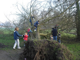 Kids on a fallen tree