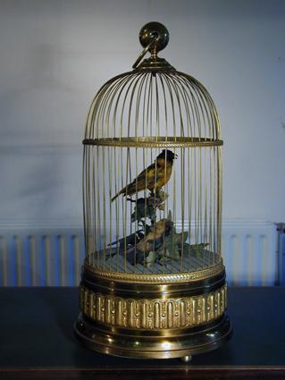 Singing Birds In Cages