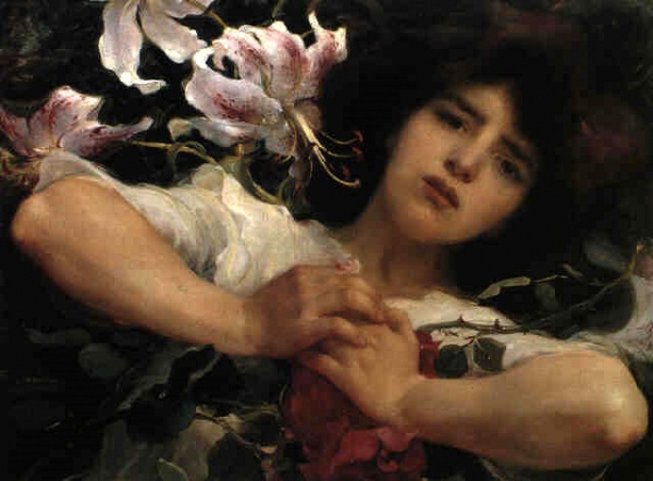 franz dvorak purity passion