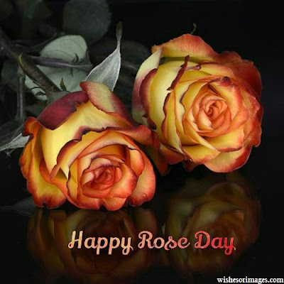 Happy Rose Day Image,Happy Rose Day Image 2020
