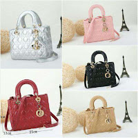 Tas Dior Semi Premium