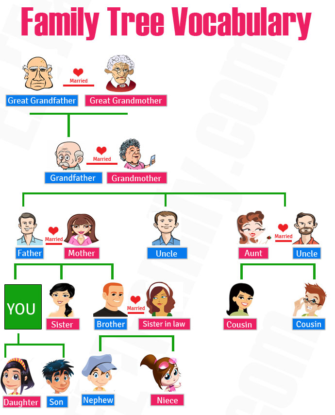 Nama anggota keluarga dalam bahasa inggris | vocabularies | belajar