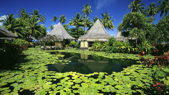 tahiti bora bora paradise luxury accomodation best hotels holiday