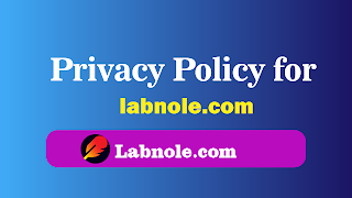 Privacy-Policy-for-labnole-com-image