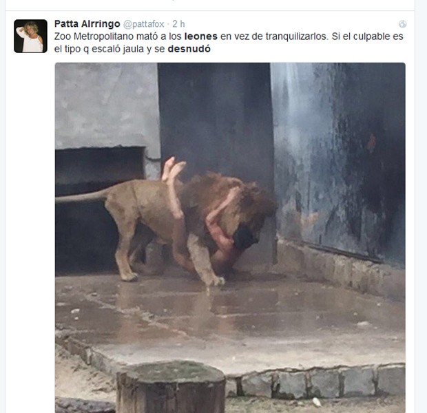 Homem tenta suicídio em zoológico no Chile