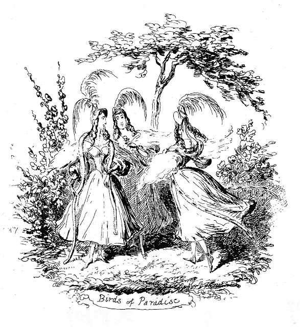 Birds of Paradise, a George Cruikshank drawing of frivolous gaiety with three girls