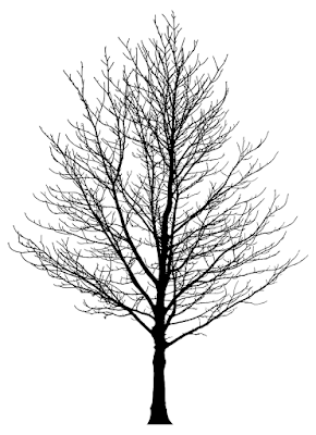 Black and white tree shape