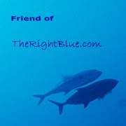 Friend of TheRightBlue.com