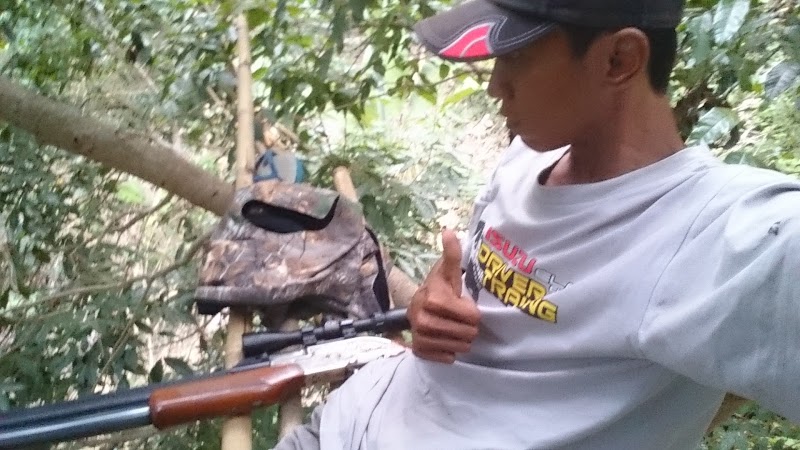 Paling Baru Tanaman Jagung Berkembang Biak Dengan Cara Apa