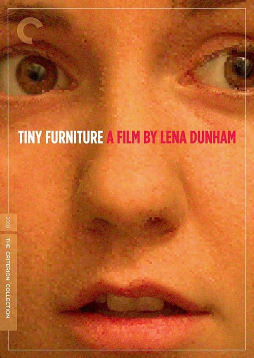 [HD] Tiny Furniture 2010 Ver Online Subtitulada