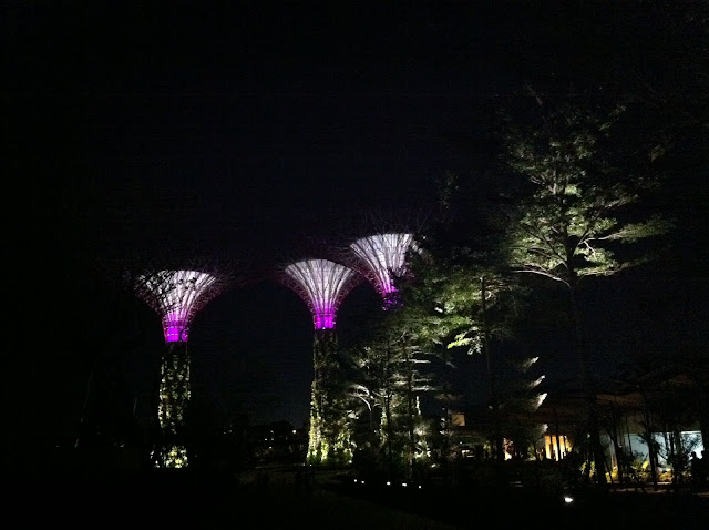 Gardens by the Bay