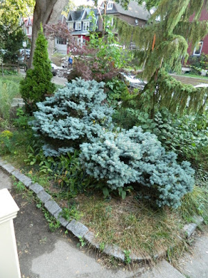 Leslieville fall cleanup before by Paul Jung Gardening Services Toronto