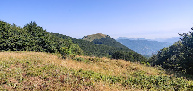 Monte Carevolo