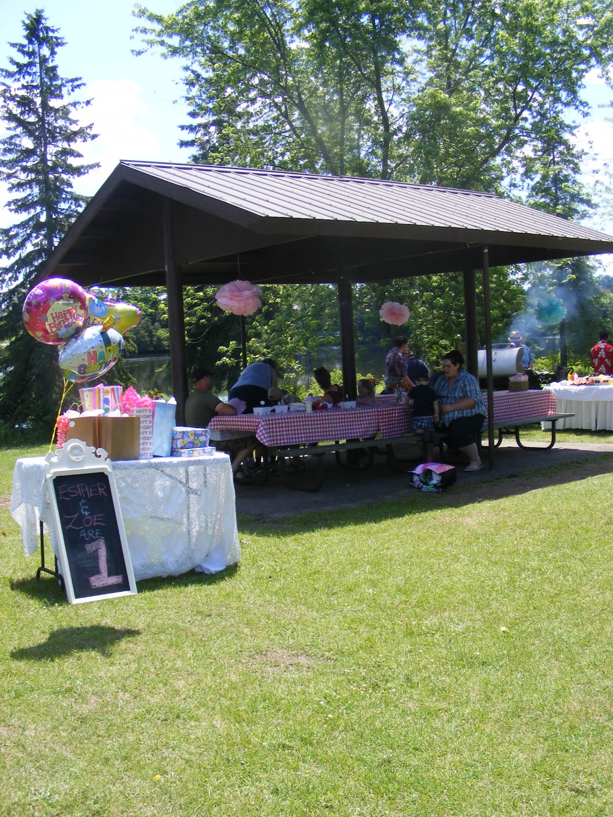 A First Birthday Picnic Party  The Complete Guide to 