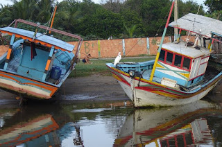 https://vnoticia.com.br/noticia/4212-pescadores-de-sfi-e-sjb-tambem-sao-beneficiados-com-auxilio-emergencial