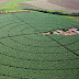 Brasil negocia aumento da importação de potássio da Jordânia O país compra no exterior 95% do potássio usado na produção agrícola